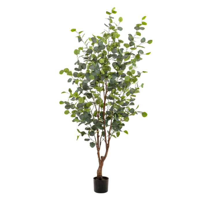 Kunstplant - Eucalyptus - Blauwe Gomboom - 140 cm - Image 3