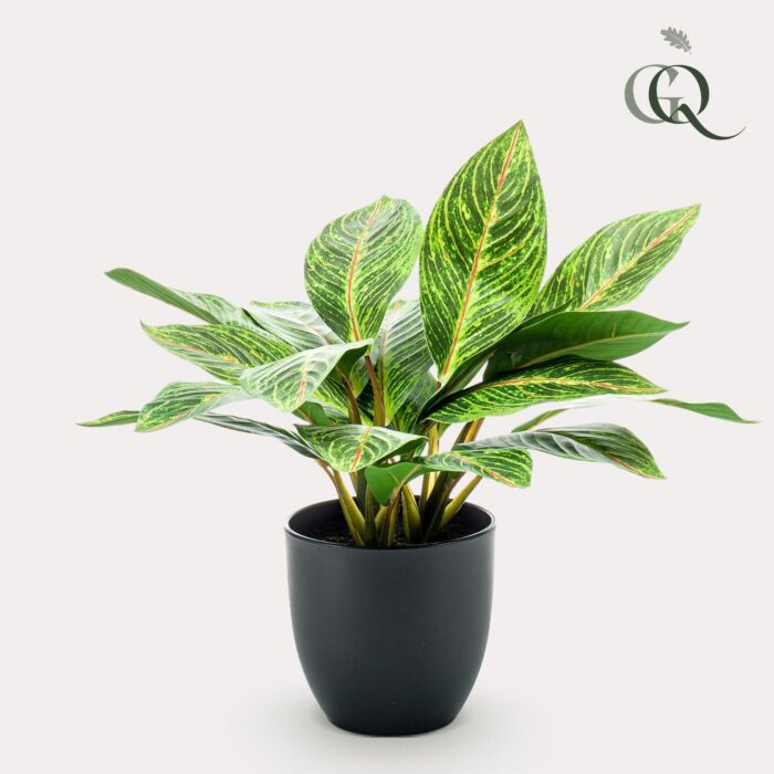 Kunstplant - Croton Codiaeum - Wonderstruik - 38 cm - Image 2