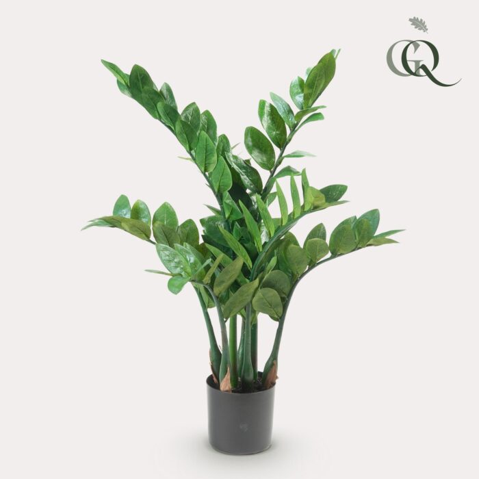 Kunstplant - Zamioculcas - Kamerpalm - 70 cm - Image 2