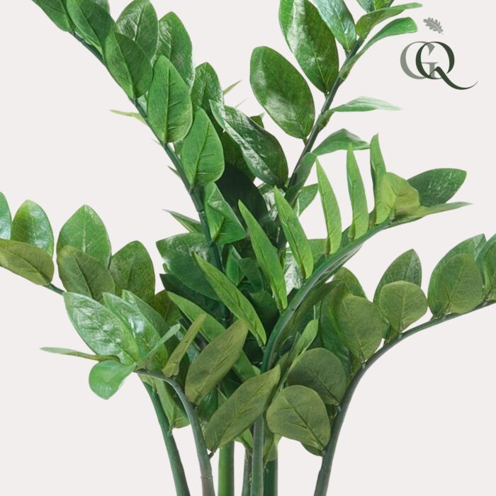 Kunstplant - Zamioculcas - Kamerpalm - 70 cm - Image 3