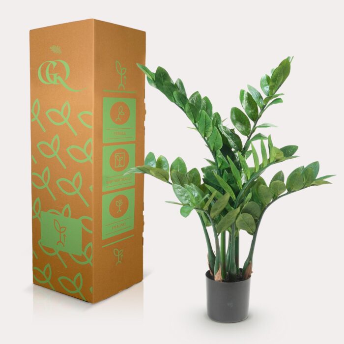 Kunstplant - Zamioculcas - Kamerpalm - 70 cm - Image 4