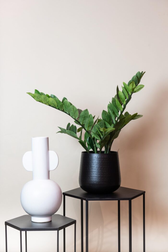 Kunstplant - Zamioculcas - Kamerpalm - 70 cm - Image 6