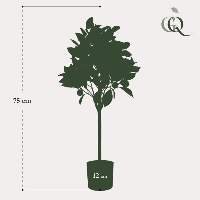 Kunstplant - Citrus Sinensis - Sinaasappelboom - 75 cm - Image 5