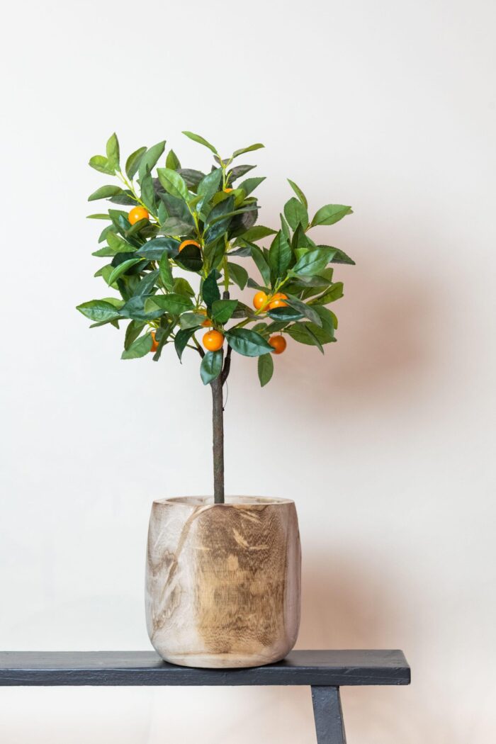 Kunstplant - Citrus Sinensis - Sinaasappelboom - 75 cm - Image 6