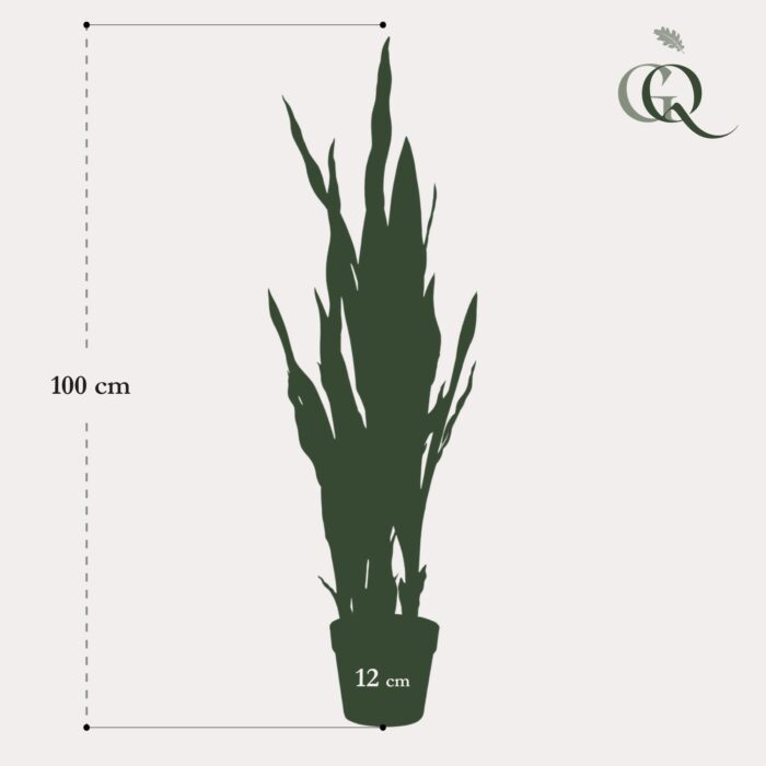 Kunstplant - Sanseveria black coral - Vrouwentong - 97 cm - Image 5