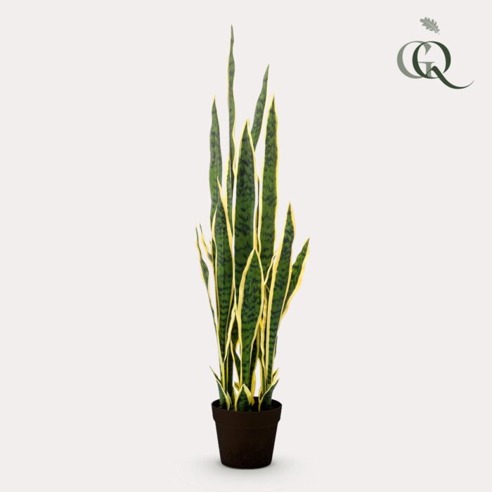 Kunstplant - Sanseveria Trifasciata - Vrouwentong - 97 cm - Image 2