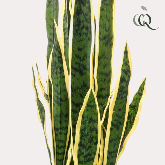 Kunstplant - Sanseveria Trifasciata - Vrouwentong - 97 cm - Image 3