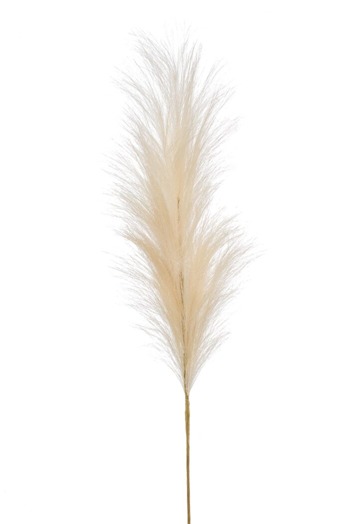 Kunstbloemen Solo - Crème - Pampas Plumes - x 6 - 115cm - Image 5