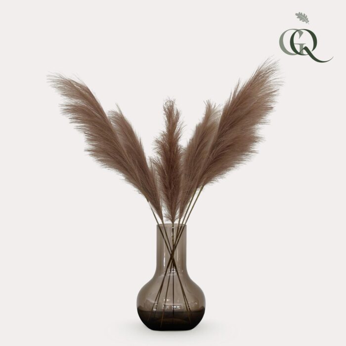 Kunstbloemen Solo - Brown - Pampas Plumes - x 6 - 115cm - Image 3