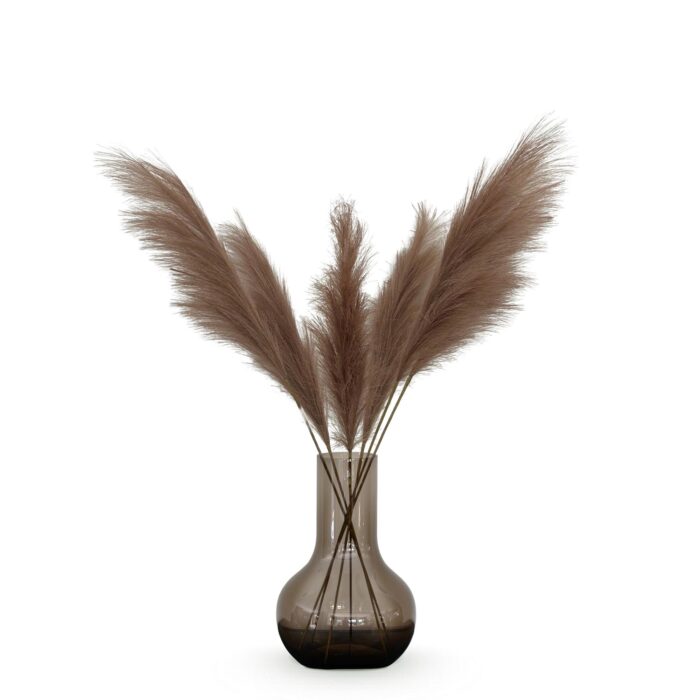 Kunstbloemen Solo - Brown - Pampas Plumes - x 6 - 115cm - Image 4