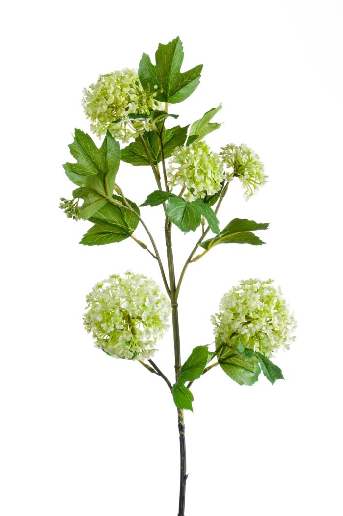 Kunstbloemen Solo - Crème - Viburnum Opulus Branches - x 4 - 75cm - Image 5