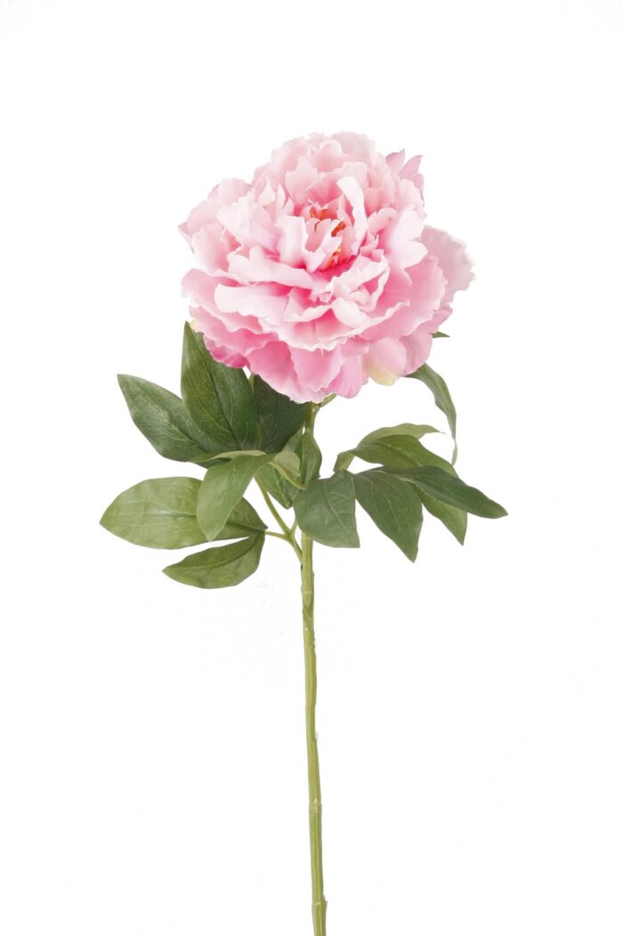 Kunstbloemen Solo - Light Pink - Peonies - x 5 - 65cm - Image 5