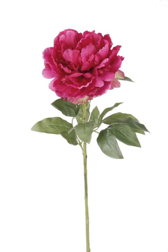 Kunstbloemen Solo - Dark Pink - Peonies - x 5 - 65cm - Image 5