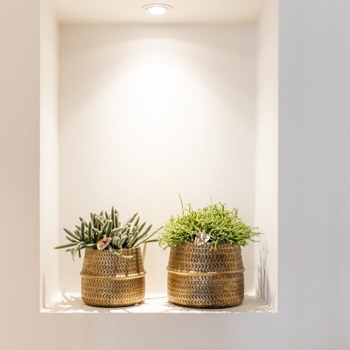 Kolibri Greens | Planten set - met 3 succulenten mix - incl. keramieken sierpotten | potmaat Ø9cm - Afbeelding 6