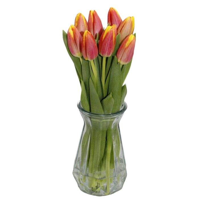 Multicolour (warm) brievenbus tulpen - Image 2
