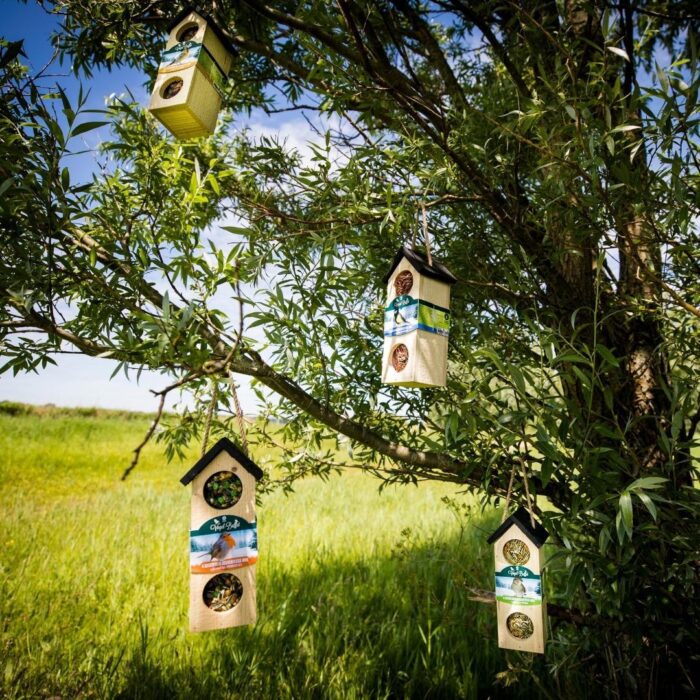 Bird-Buffet | Chalet feeder vogelhuisje | 500 gram - Meesjes - Image 3