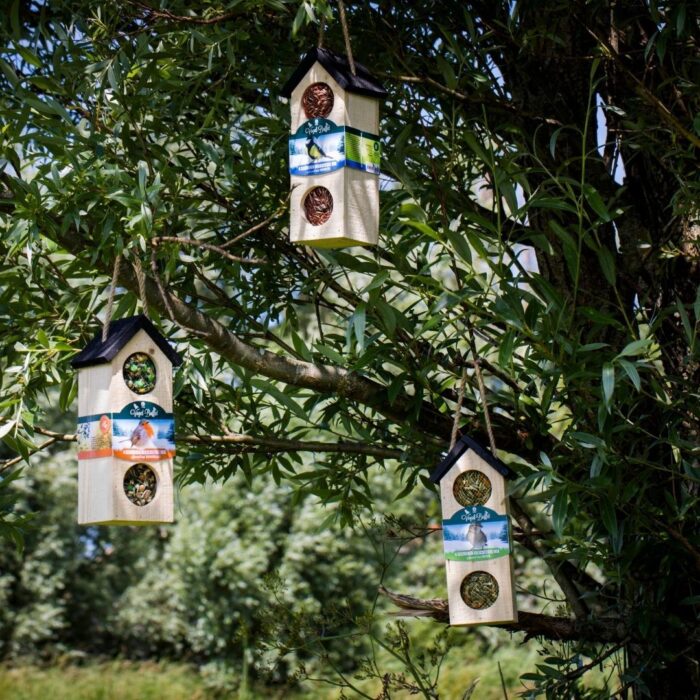 Bird-Buffet | Chalet feeder vogelhuisje | 500 gram - Mussen - Image 4