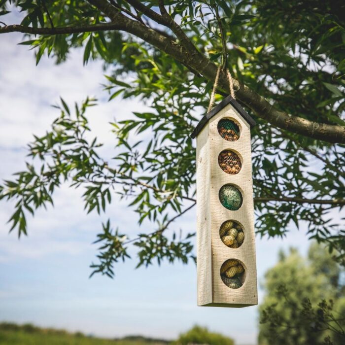 Bird-Buffet | Big Chalet feeder vogelhuis inclusief 500 gram voeding - Image 2