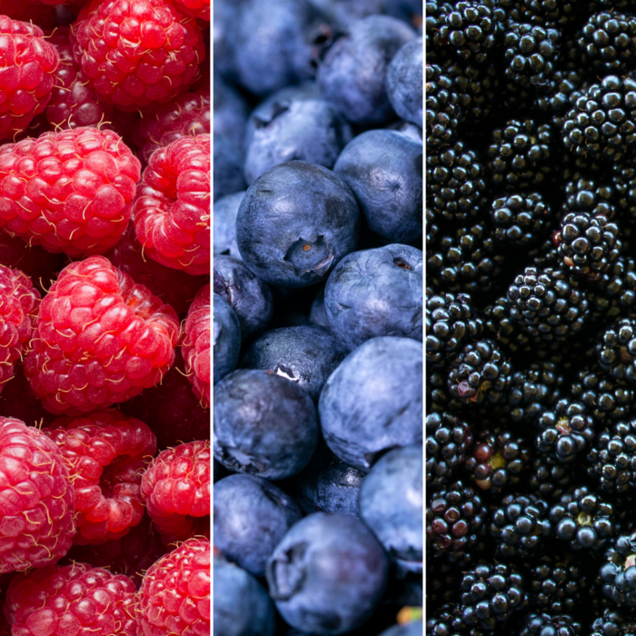 "Vruchten feestje" BIO Fruitplanten mix set van 3 verschillende soorten - Image 2