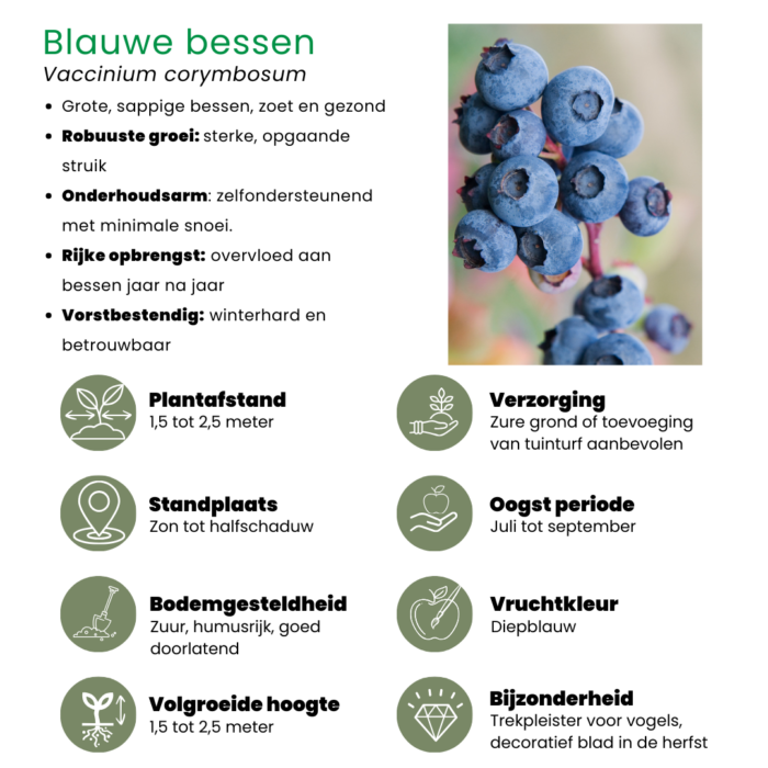 "Vruchten feestje" BIO Fruitplanten mix set van 3 verschillende soorten - Image 7