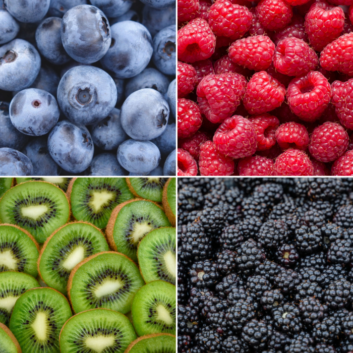 "Zomervruchten" BIO Fruitplanten mix set van 4 verschillende soorten - Image 2