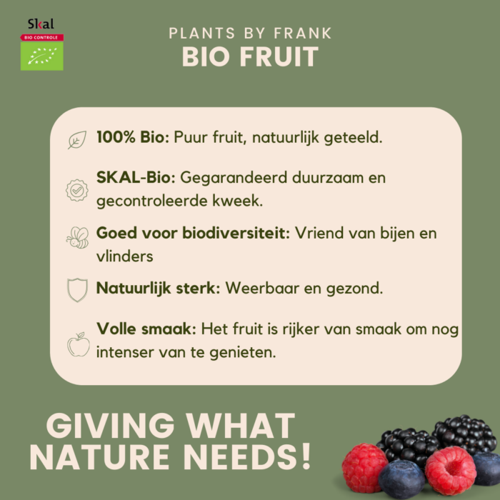 "Zoete oogst trio" BIO Fruitplanten mix set van 3 verschillende soorten - Image 6